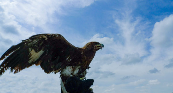 浅谈企业文化与潜规则