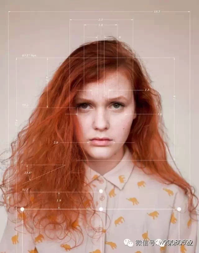 最美的人体工学图