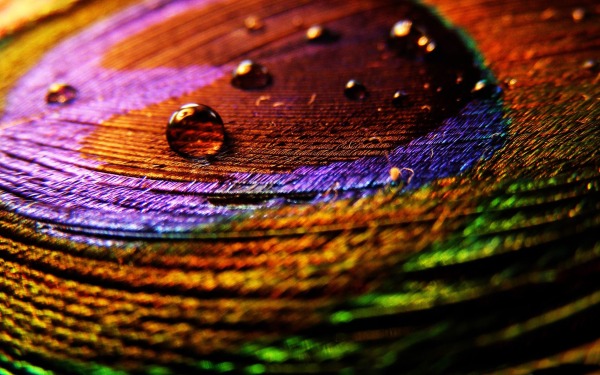 6个最好用的配色工具APP