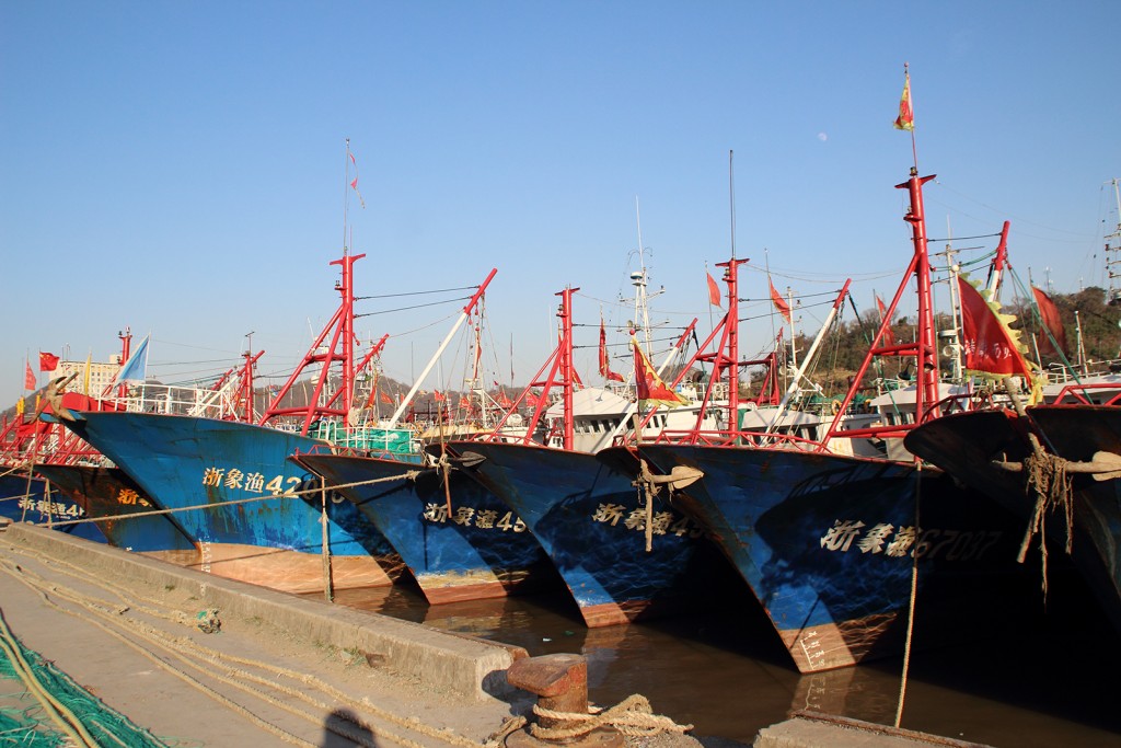 DPP_0008