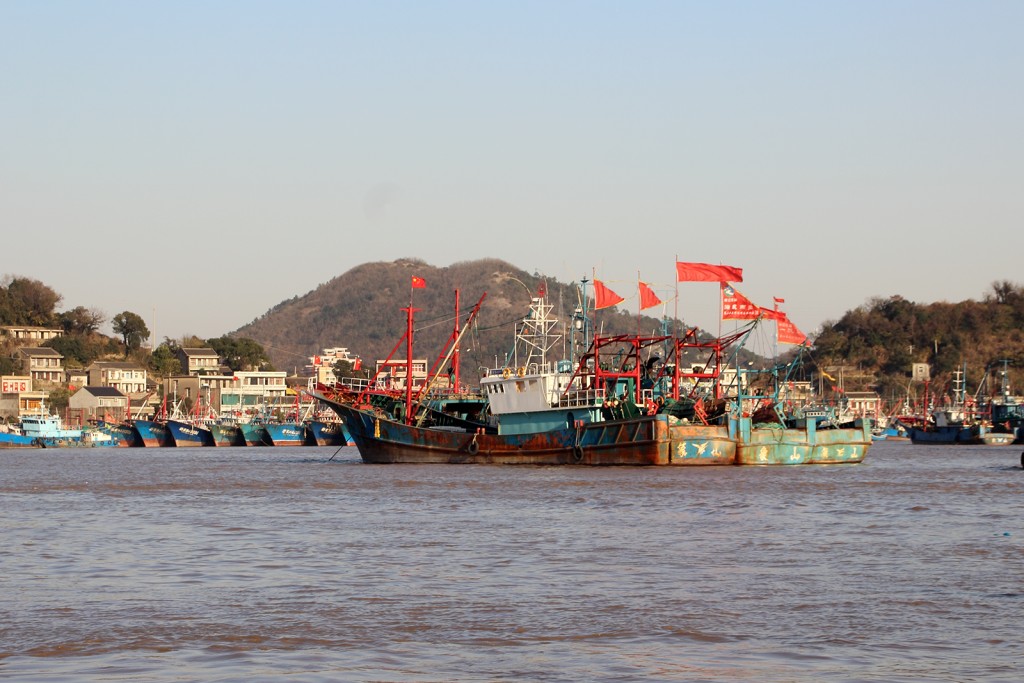 DPP_0011