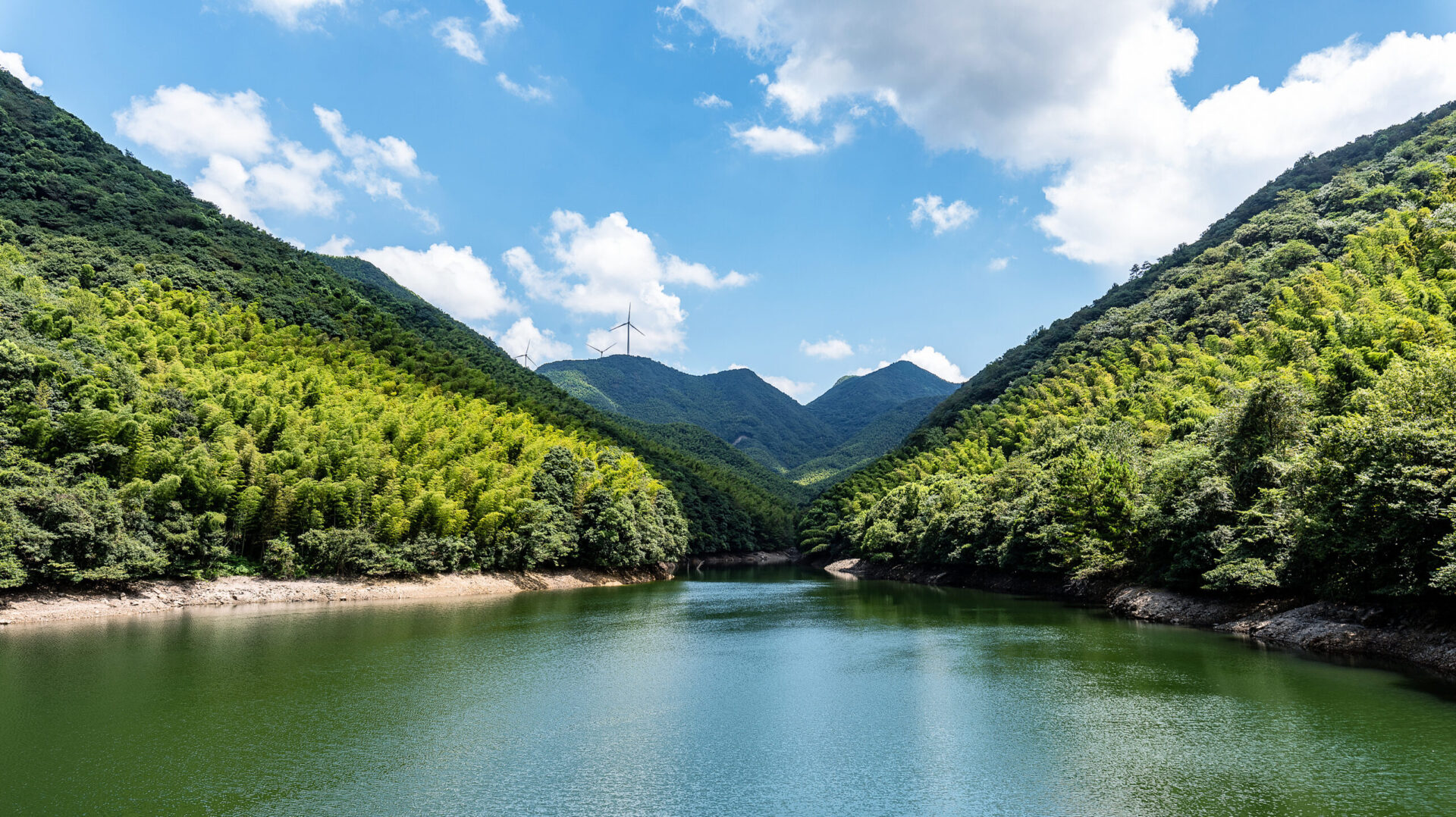 “中国特色”变得今人恶心的词汇